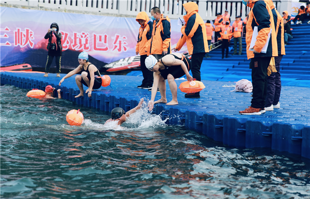 湖北巴东：33支冬泳爱好者队伍竞速长江三峡