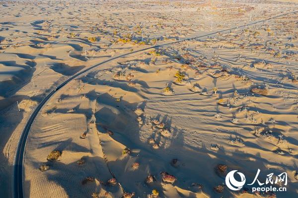 新疆达里雅布依村易地扶贫搬迁奔向小康生活 塔克拉玛干腹地矗起"