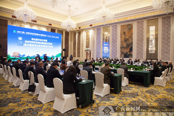 2020中国—东盟可持续发展创新合作国际论坛落幕