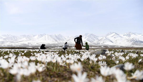 图片默认标题_fororder_1124332778_15545126472731n