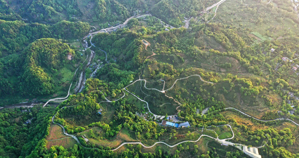 图片默认标题_fororder_都江堰市青城道茶观光园-摄影-刘杰