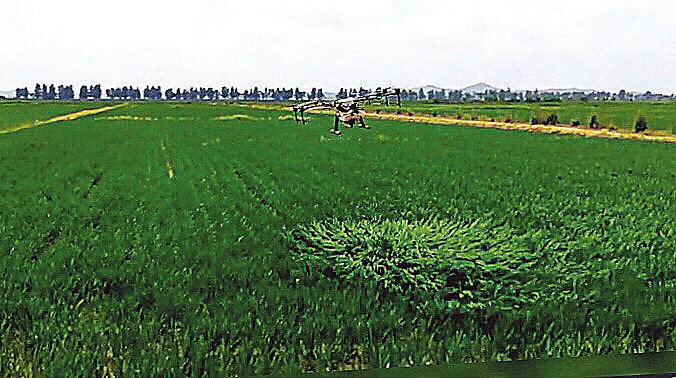吉林省农业科技推广跑赢“最后一公里”