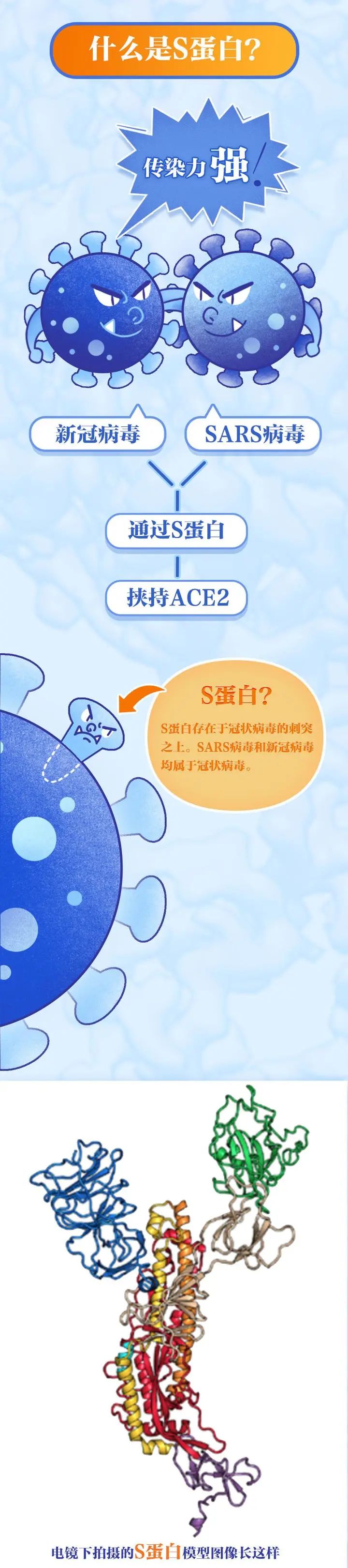 经济日报■好消息！第一批疫苗已产生抗体