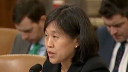 美媒：拜登将提名华裔美国人凯瑟琳&#183;戴担任美国贸易代表