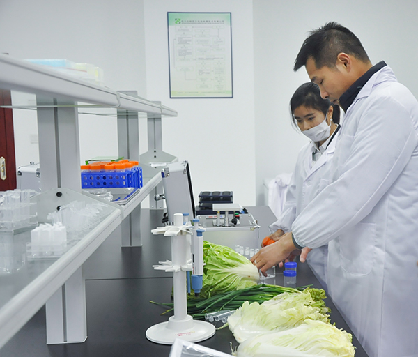 图片默认标题_fororder_4蔬菜检验（摄影-冯常英）