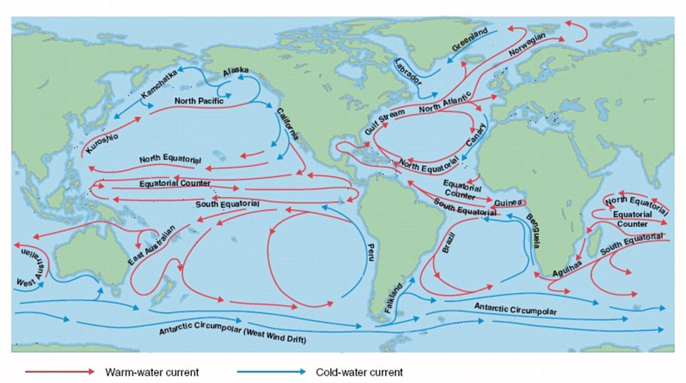 疑似mh370残骸地发现中国矿泉水瓶   图为全球洋流分布图.