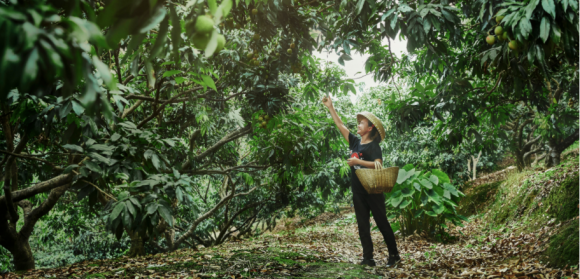 西瓜视频年度短片《向前》上线 短视频为普通人的梦想插上翅膀 西瓜视频年度短片《向前》上线 短视频为普通人的梦想插上翅膀
