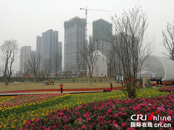 图片默认标题_fororder_2