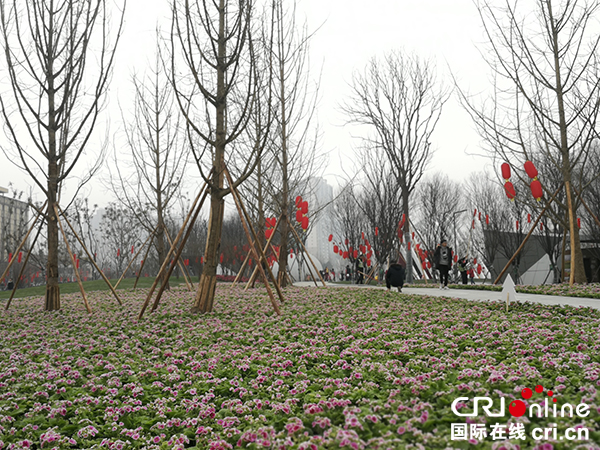 图片默认标题_fororder_4