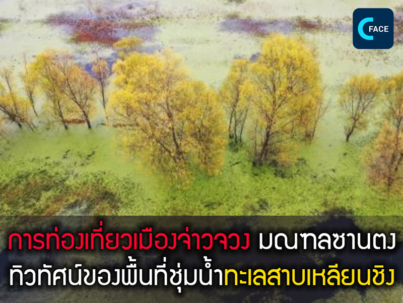 การท่องเที่ยวเมืองจ่าวจวง มณฑลซานตง: ทิวทัศน์ฤดูหนาวของพื้นที่ชุ่มน้ำทะเลสาบเหลียนชิงดุจภาพวาดสีน้ำมัน