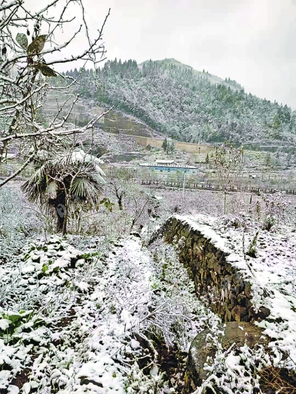 今冬贵州第一场雪如约而至 24个县（市、区）发布道路结冰黄色预警