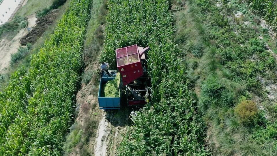 新庄换“新装”