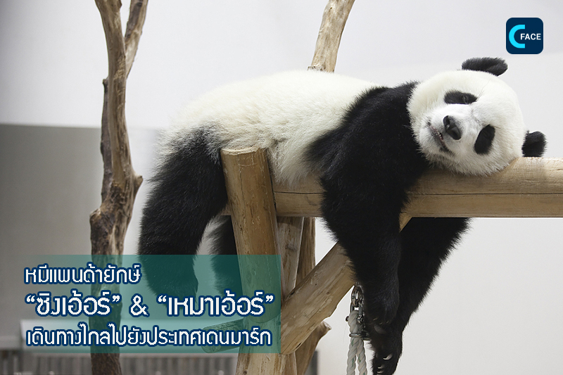 图片默认标题_fororder_11