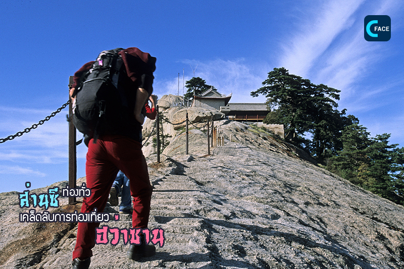 图片默认标题_fororder_14