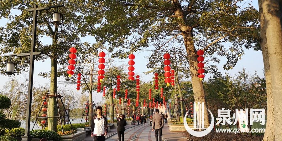 【焦点图】【泉州】【移动版】【Chinanews带图】泉州市区八大公园梳妆打扮迎新春