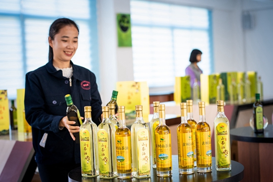 贵州天柱：打造油茶全产业链 建成30万亩“绿色银行”