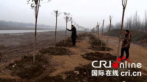 【河南在线】鲁山县“生态建县” 完成造林面积1.21万亩