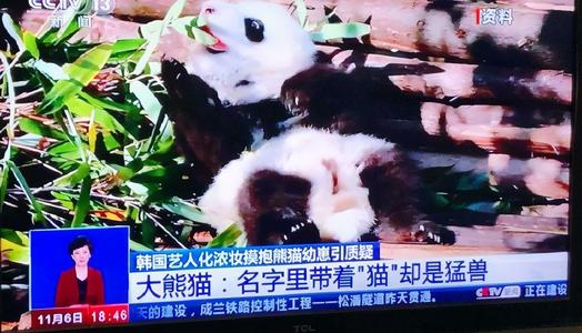 Bayi Panda Fubao