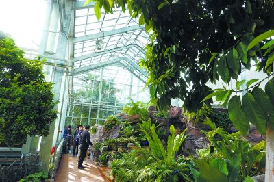 “北京最古老植物温室”4月10日起开放