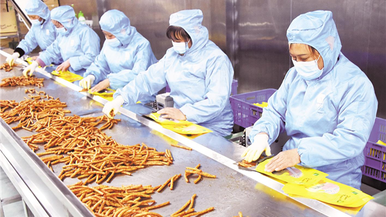 计划到2020年建造的_《河北省智慧教育行动计划(2020-2022年)》印发