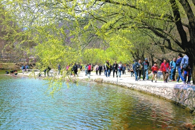 图片默认标题_fororder_j2