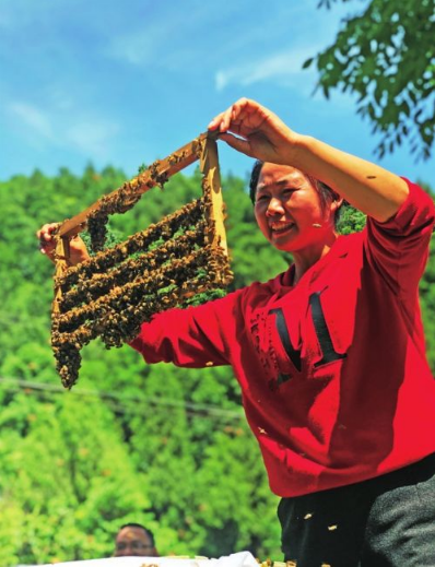 忠县胡辉淑获全国劳动模范 与蜂共舞酿造甜蜜生活
