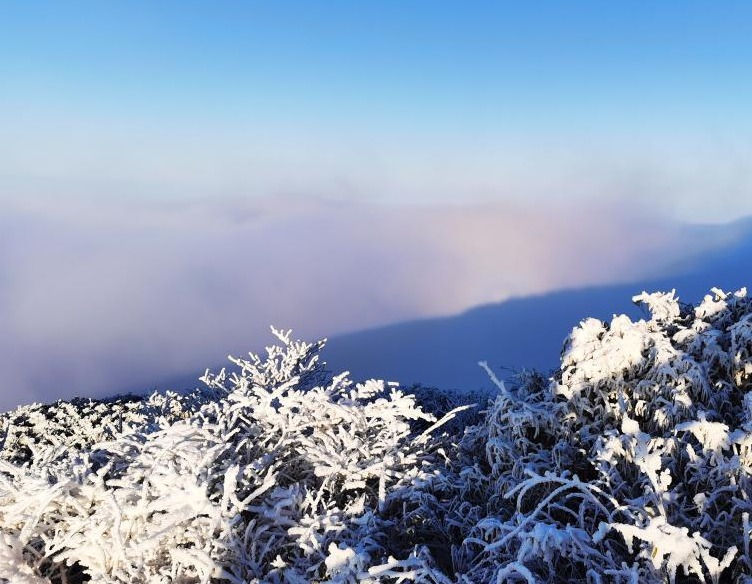 ทัศนียภาพภูเขาฝานจิ้งหลังหิมะตก