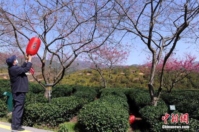 图片默认标题_fororder_f44d305ea48e1fb8262750