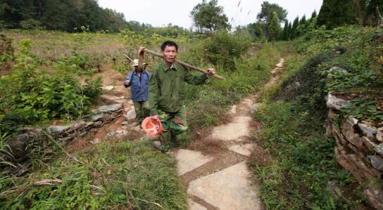 中国文明网@抗疫路上的“愚公”书记