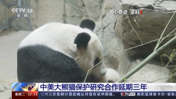 赛车pk10诚信群	