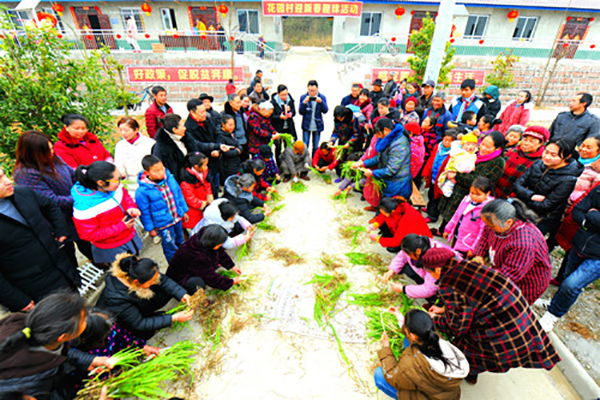 图片默认标题_fororder_DSC_8330_meitu_5_副本