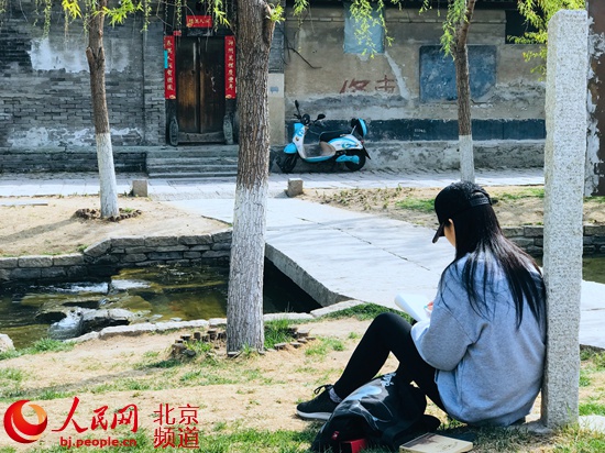 街区更新 北京胡同里的“春天”藏不住