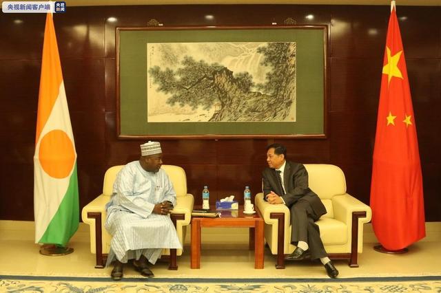 尼日尔议员向中国政府和人民抗击疫情表示慰问