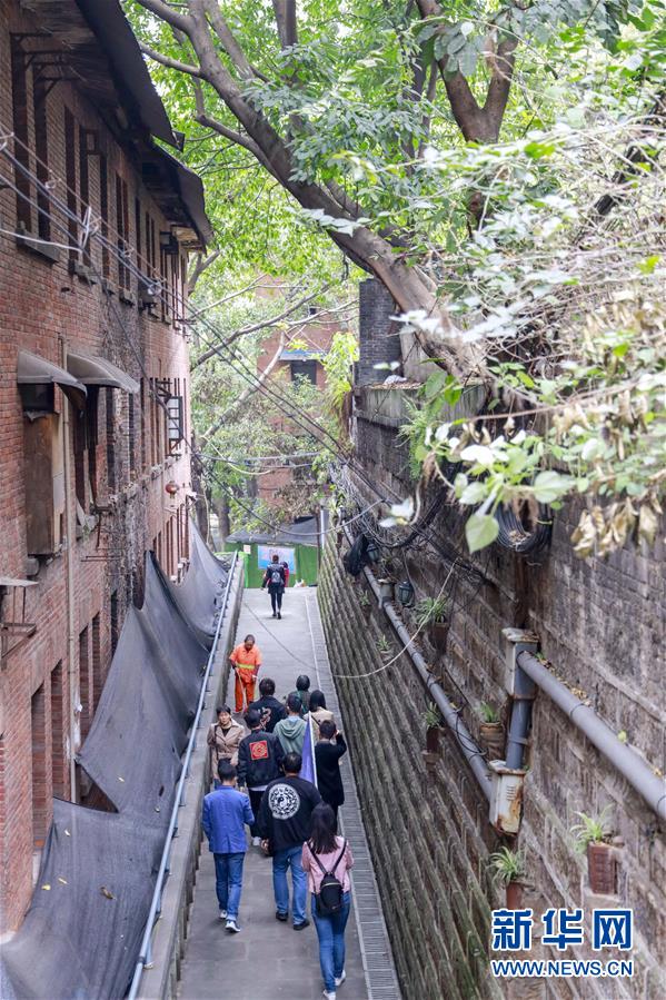 【行游巴渝 摘要】重庆山城步道：徜徉在绿水青山间的乡愁记忆