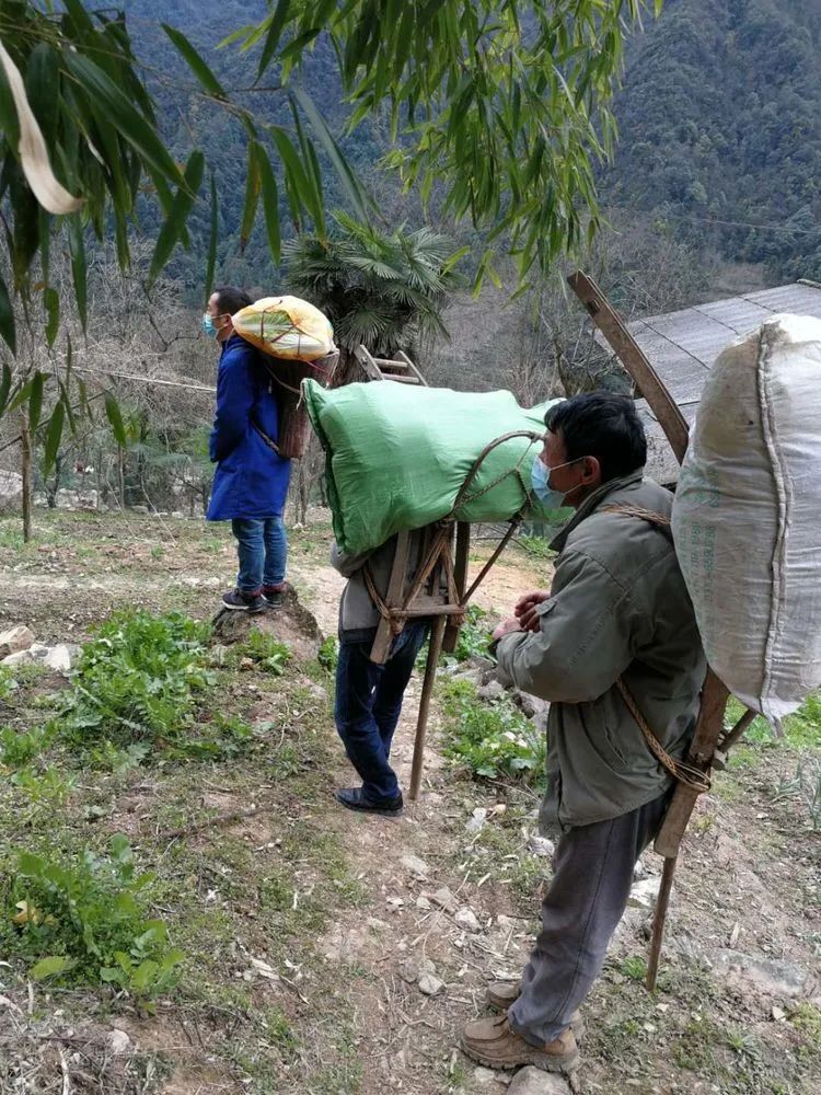 人民日报：肩挑背扛！他们从大山里凑了85吨物资送武汉，还留下一