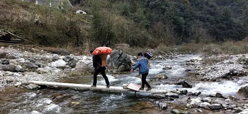人民日报：肩挑背扛！他们从大山里凑了85吨物资送武汉，还留下一