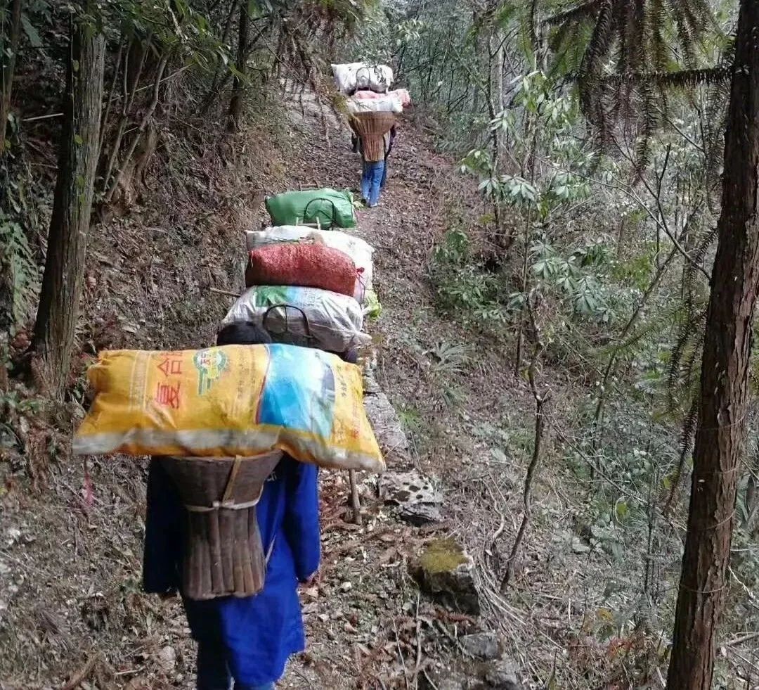 人民日报：肩挑背扛！他们从大山里凑了85吨物资送武汉，还留下一