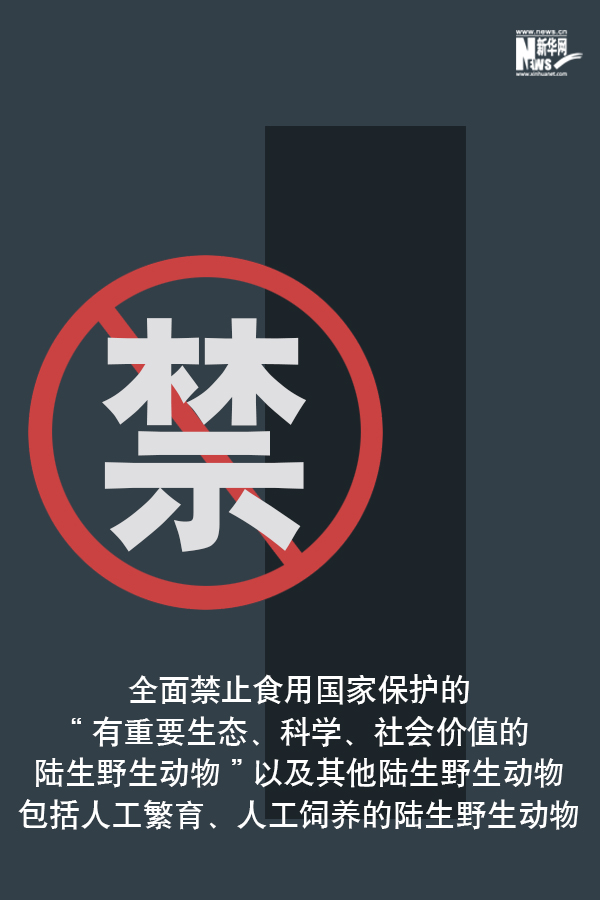 「新华网」向非法野生动物交易、滥食野生动物陋习亮剑