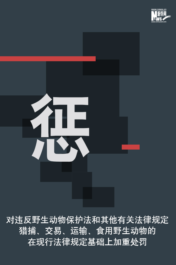 「新华网」向非法野生动物交易、滥食野生动物陋习亮剑