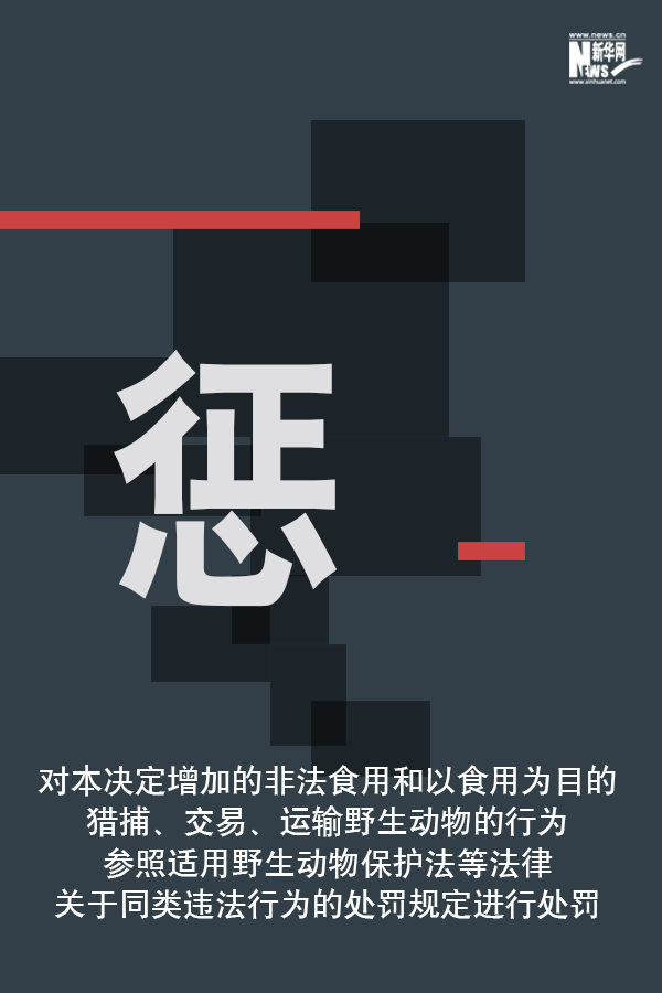 「新华网」向非法野生动物交易、滥食野生动物陋习亮剑