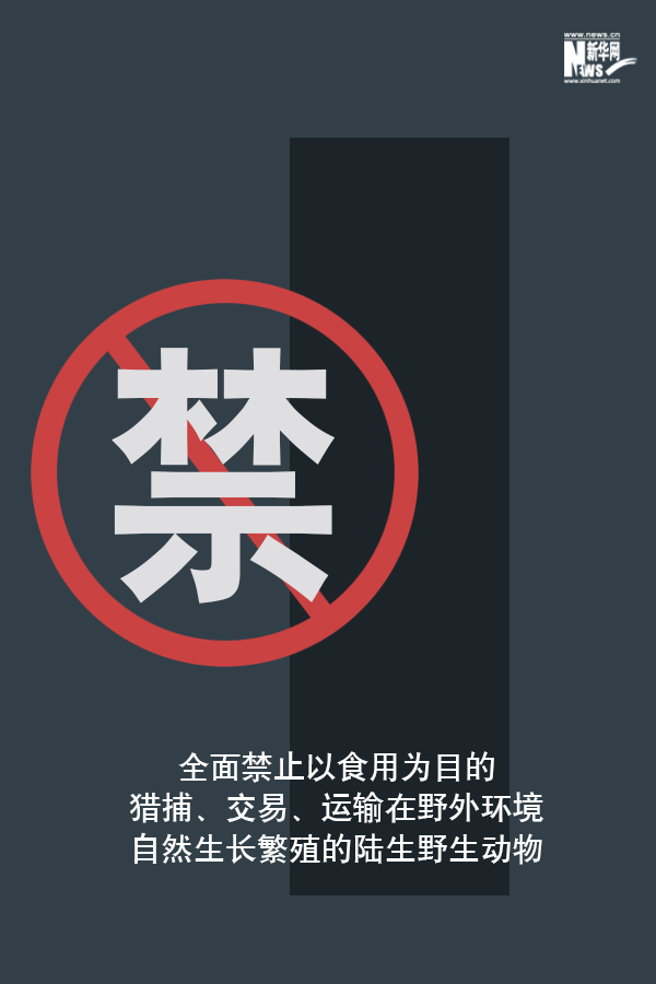 「新华网」向非法野生动物交易、滥食野生动物陋习亮剑