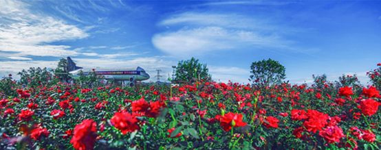 四川省、田園総合施設が文化・観光の“名刺”に