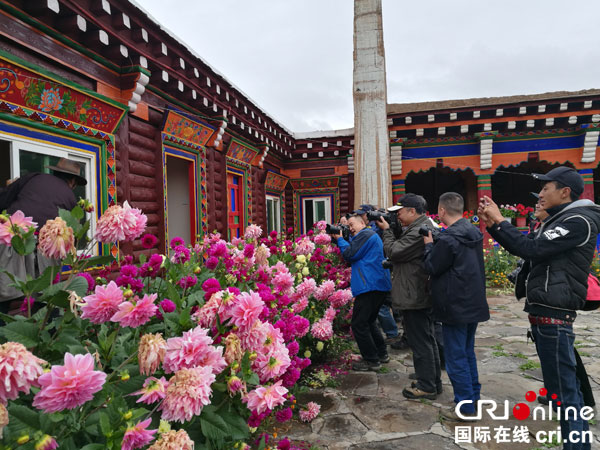 图片默认标题_fororder_采风活动