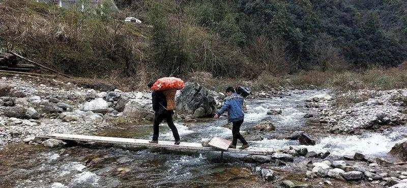 「人民日报」打开 肩挑背扛！他们从大山里凑了85吨物资送武汉，