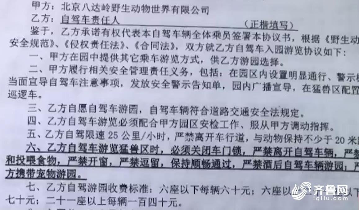 &quot;熊咬人&quot;事件当事人:园方捏造事实 我从没要求赔偿