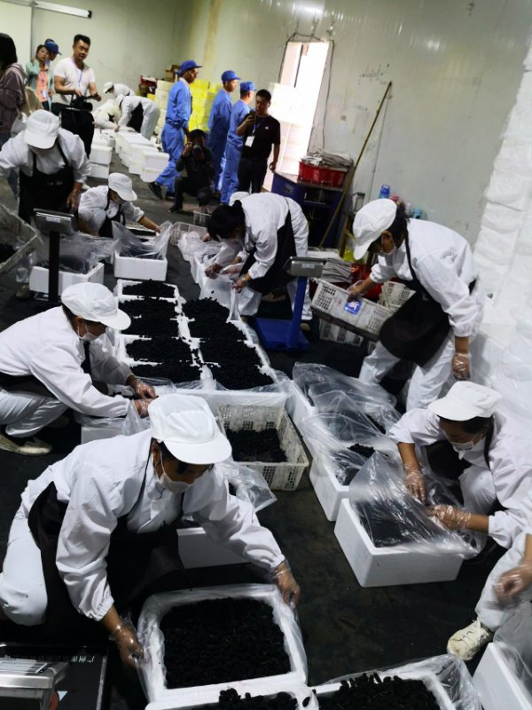 图片默认标题_fororder_3