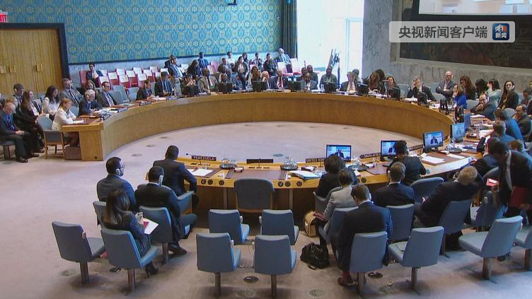 联合国安理会讨论委内瑞拉问题