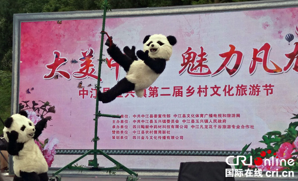 德阳中江县玉兴镇：蕞美人间四月天相约芍药花海见