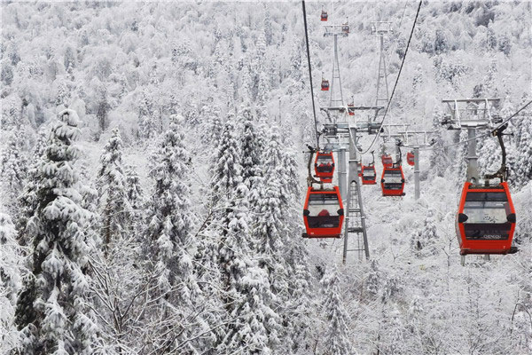 成都森林文化节暨第21届南国国际冰雪节将于12月24日开幕