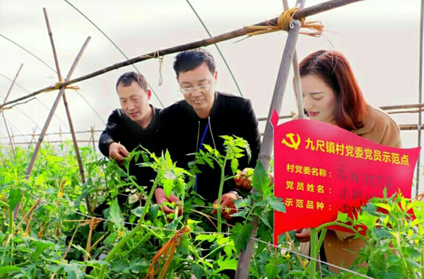 图片默认标题_fororder_00九尺蔬菜基地-供图-彭州市委宣传部